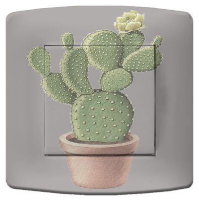 Interrupteur déco Nature / Cactus poussoir - La Maison de Gaspard