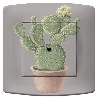 Prise déco Nature / Cactus RJ45