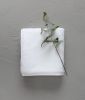 Serviette de toilette Soft en coton/lyocell coloris blanc 50x100