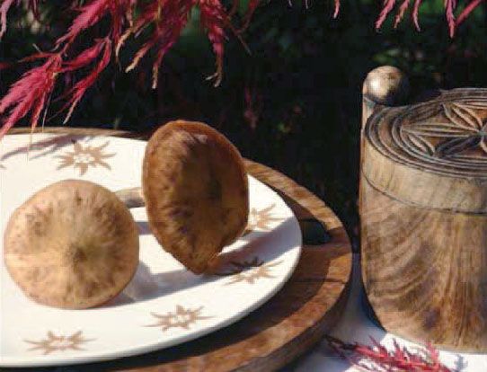 Assiette plate ronde Edelweiss faïence - Les Sculpteurs du lac