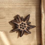 Bouton de porte bois brulé Edelweiss 8x8 - Les Sculpteurs du lac