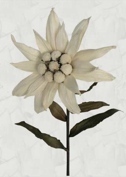 Fleurs bois Edelweiss - Les Sculpteurs du lac