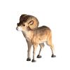 Mouflon en bois sculpté tilleul coloris naturel