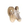 Tête de Mouflon en bois brut sculpté main